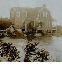 Cherry Grove Fire Island: Before and After the Great Hurricane of 1938 old image